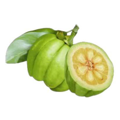 Garcinia Cambogia